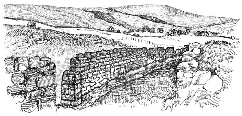 Weets Hill